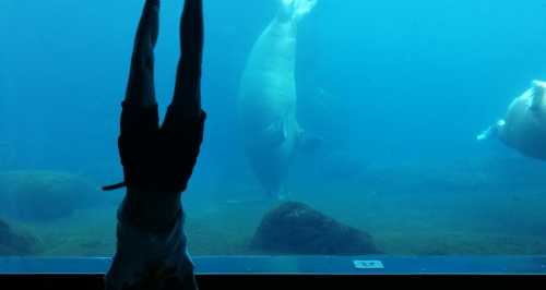 20180609_1055.jpg