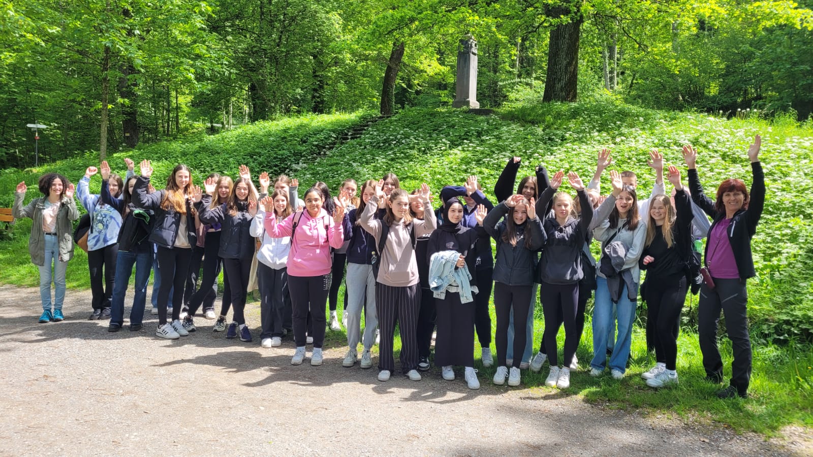 Wald1.jpeg
