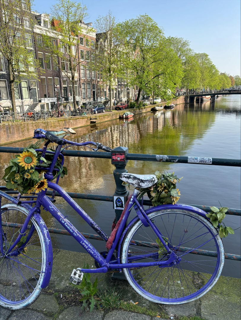 Holland11.jpeg